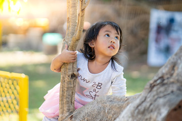 little girl climbing tree in the park