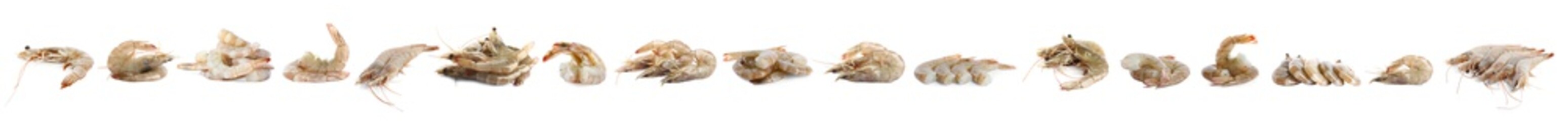 Set of fresh raw shrimps on white background. Banner design