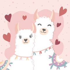 Happy Valentines Day with couple llama in love, Valentines card and poster