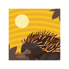 card with echidna in australian landscape