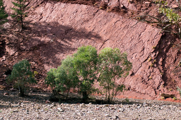 Scenery, Ikara-Flinders' Ranges National Park, SA, Australia