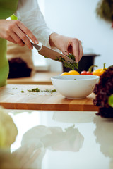 Unknown human hands cooking in kitchen. Woman is busy with vegetable salad. Healthy meal, and vegetarian food concept