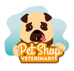 pet shop veterinary with little dog