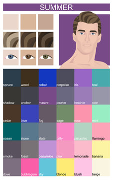 Stock vector color guide with color names. Eyes, skin, hair color. Seasonal color analysis palette for summer type of male appearance. Face of young man
