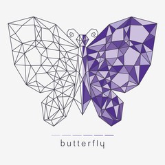 Butterfly with a geometric polygonal pattern. Wireframe vector illustration divided into two halves - frame and colored purple. Modern trendy line design. Stylish logo, badge, decoration, print.