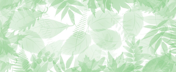 green spring Easter background with leaves and place for inscription