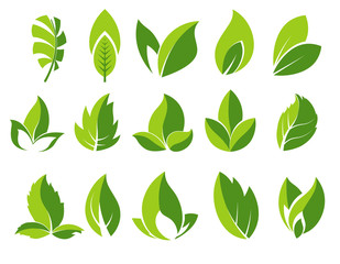 Green leaf and leaves abstract icons set