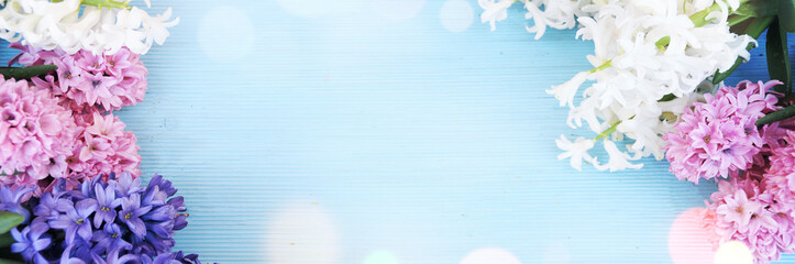 Spring background with blossom