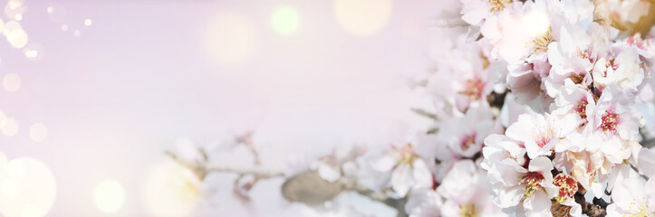 Spring border, season background