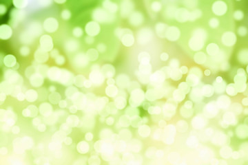 Fototapeta na wymiar Green abstract panorama background with bokeh for spring and easter decorations