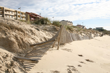 wooden palisade barrier to protect the dune cord against erosion