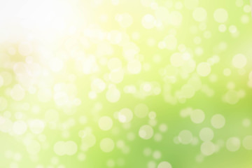 Sunny abstract green nature background, selective focus