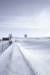 Fototapeta na wymiar snowy landscape with a minimalistic tree