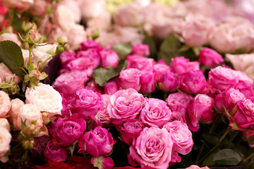Beautiful fresh flowers as background, closeup. Floral decor