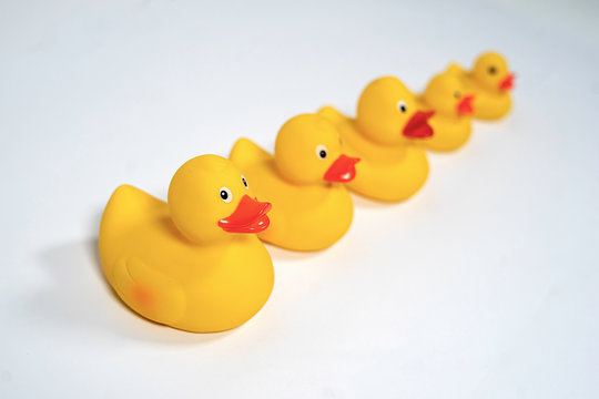 Yellow rubber ducks isolated on white background. Bath duck toys