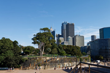 Ogród botaniczny w Sydney