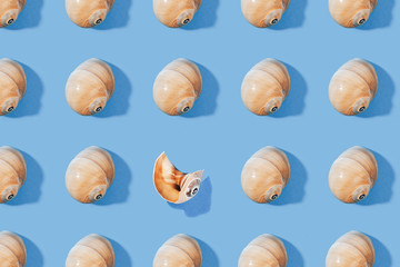 Seashells pattern on a orange background. Hello Summer concept. shells repeating on shell broken, different concept. Top view