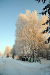 Winter in Eggesin mit Schnee