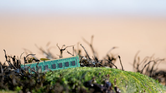 Memory card on a coastal rock with seaweed against a background of a sandy beach