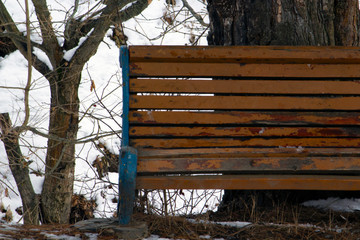 half of the bench and tree 
