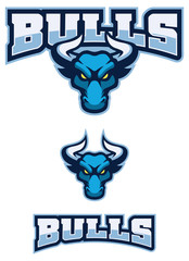 Bull Sport Mascot