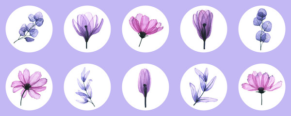 Watercolor transparent flowers and leaves. Hand drawn illustrations isolated on white circles. Set of x-ray floral icons is perfect for blogger, florist, logo, stickers, social media design, highlight