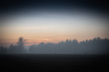 foggy mistical atmosphere in winter time fields and forest