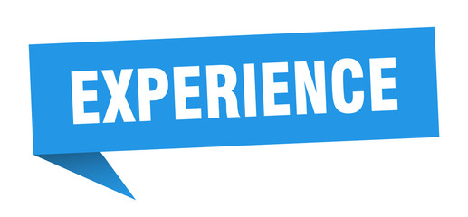 experience speech bubble. experience ribbon sign. experience banner