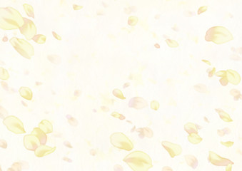 2020206花吹雪（イエロー）