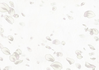 2020206花吹雪ホワイト1)