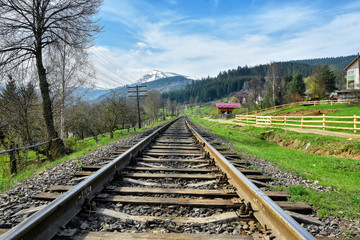 Obraz premium railway in the forest
