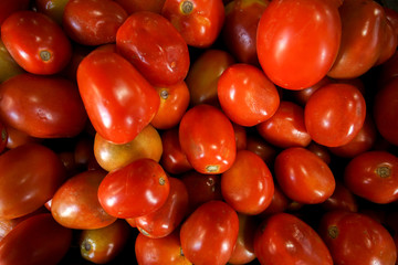 tomatoes on black background