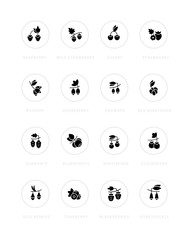 Set of Simple Icons of Berries