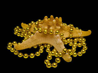 Starfish Entangled in Beautiful Golden Beads, Macro Shot, Isolated On Black Background