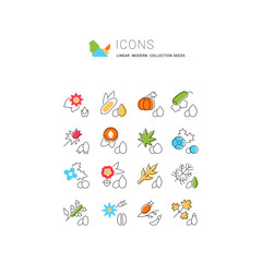 Set Vector Line Icons of Seeds