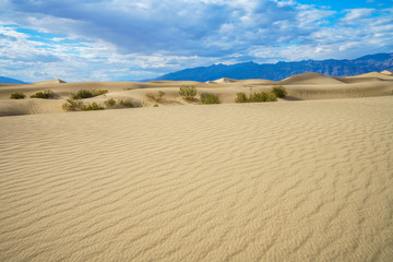 mesquite flat sand dunes in death valley, california, usa