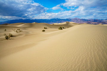 mesquite flat sand dunes in death valley, california, usa