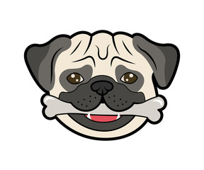 Vector illustration of pug.