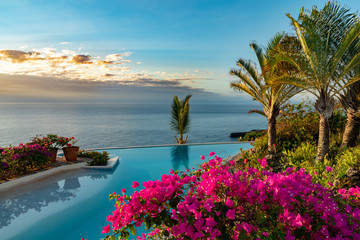 Panele Szklane  Piękny tropikalny ogród z kwiatami i palmami przy basenie bez krawędzi, kwitnie róż bugenwilli. Świeże kwiaty dominikańskie, widok na ocean, z miejscem na kopię