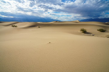 mesquite flat sand dunes in death valley, california, usa