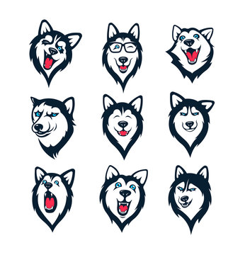 Set of Siberian Husky stickers. Dog in different emotions. Illustrations for prints, logos, websites, and apps.