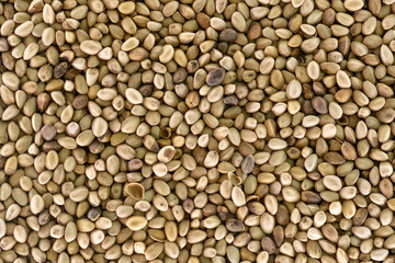 Raw pistachio background. Biofuel component. Biomass energy.