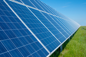 Solar panels on a green field. Photovoltatic power industry.