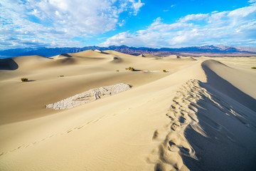 mesquite flat sand dunes in death valley, california, usa