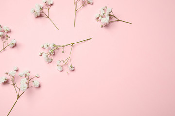 Beautiful floral composition with gypsophila on pink background, flat lay. Space for text