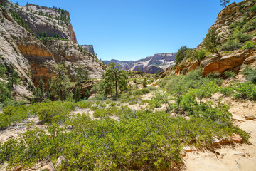 hiking the observation point trail in zion national park, usa