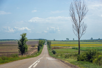 Road among fields in rural area of Romania