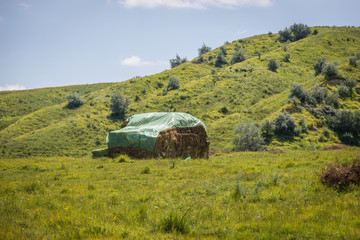 Obraz premium Rural area of Buzau County in Muntenia region of Romania