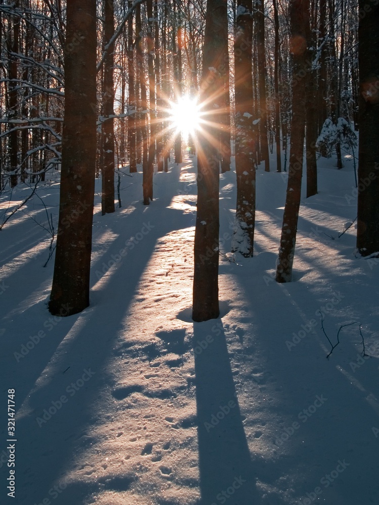 Poster snow