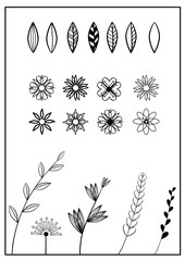 Set of doodle design elements. Collection of hand drawn floral elements, leaves, flowers and plants. Decoration elements for design textiles, invitation, wedding / valentines day / greeting cards